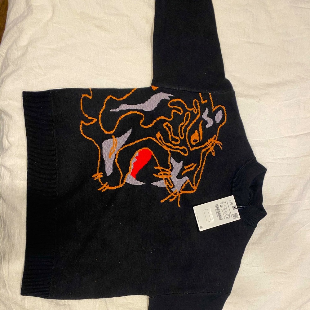 Zara Kids Tiger Sweater NWT